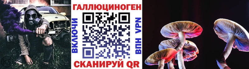 Псилоцибиновые грибы Psilocybine cubensis  Купить закладки  Эртиль 